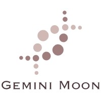 Gemini Moon 427689 Image 0