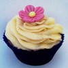 Sparkes and Buttercream Cupcakes 424499 Image 0